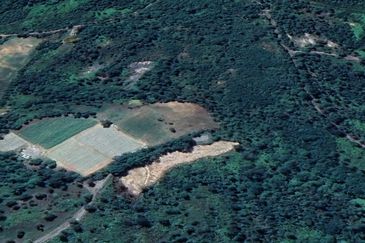 Sungai Gumut ( Lembah Beringin )