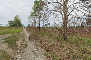 Sungai Gumut ( Lembah Beringin )