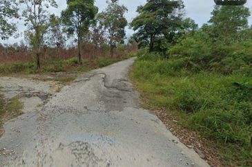 Sungai Gumut ( Lembah Beringin )