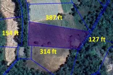 Sungai Gumut ( Lembah Beringin )