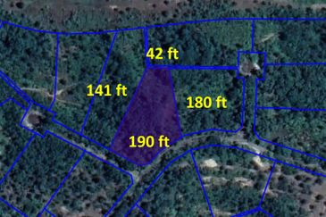 Sungai Gumut ( Lembah Beringin )