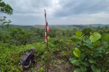 Sungai Gumut ( Lembah Beringin )