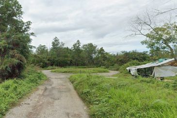 Sungai Gumut ( Lembah Beringin )