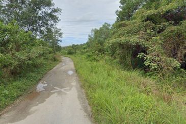 Sungai Gumut ( Lembah Beringin )