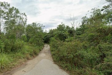 Sungai Gumut ( Lembah Beringin )