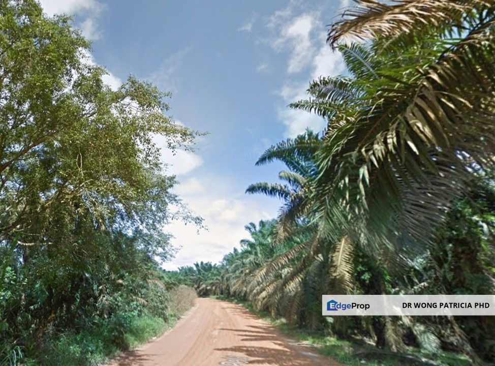 Palm Oil Land, 5498 acres, Jalan Kg Orang Asli Peta, Ulu Sungai Endau Mersing, 86900 Kahang, Kluang, Johor, Johor, Kluang