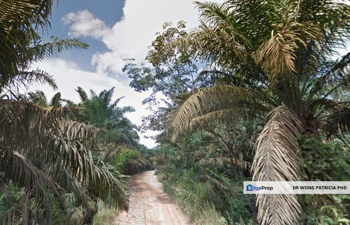 Palm Oil Land, 5498 acres, Jalan Kg Orang Asli Peta, Ulu Sungai Endau Mersing, 86900 Kahang, Kluang, Johor, Johor, Kluang