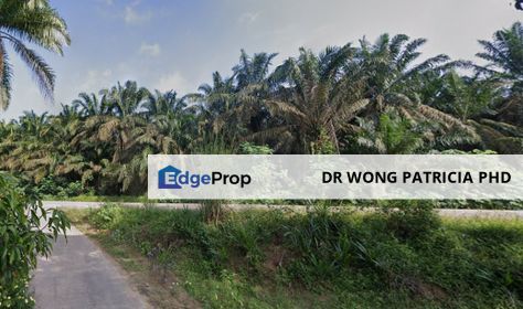 Palm Oil Land, 5498 acres, Jalan Kg Orang Asli Peta, Ulu Sungai Endau Mersing, 86900 Kahang, Kluang, Johor, Johor, Kluang