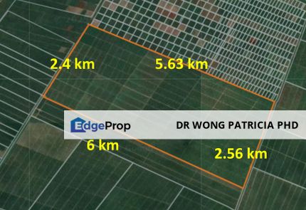 PALM OIL LAND, 3313 ac, West Coast Expressway, Hutan Melintang, 36400 Bagan Datuk, Perak, Perak, Bagan Datoh