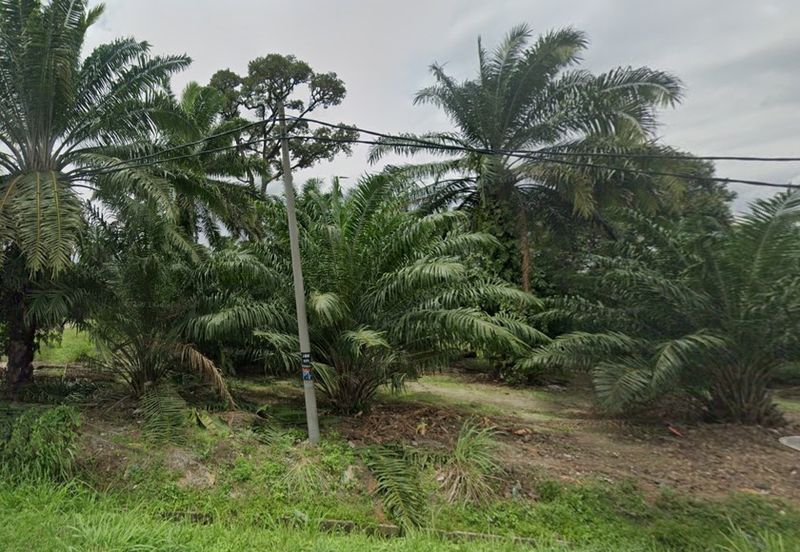 Teluk Panglima Garang
