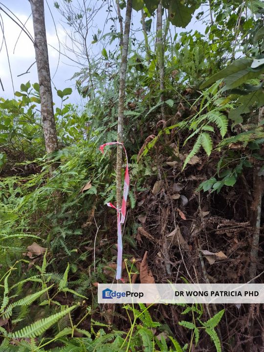 Agriculture Land, 2.08 ac, Lembah Beringin, Sungai Gumut, Selangor, Selangor, Kuala Kubu Baru