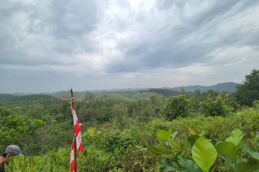 Lembah Beringin