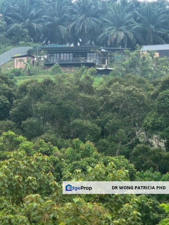 Sandalwood Farm, 1 ac, Kampung Kundor Hilir, 71400 Pedas, Negri Sembilan, Negeri Sembilan, Rembau