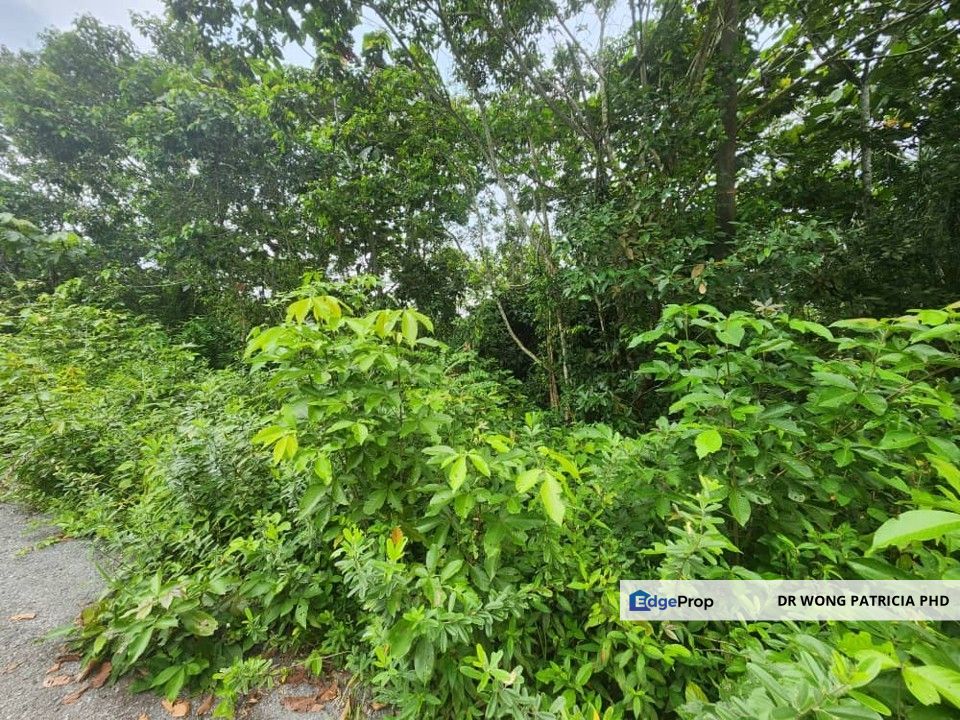Sandalwood Farm, 1 ac, Kampung Kundor Hilir, 71400 Pedas, Negri Sembilan, Negeri Sembilan, Rembau