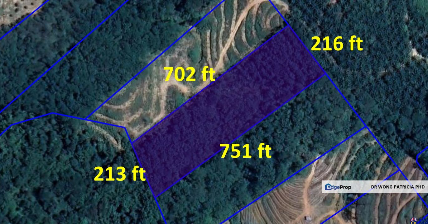 FRUIT FARM LAND, 3.59 ac, off Jalan Kenari, Bandar Baru Lembah Beringin, Lembah Beringin, Selangor, Selangor, Kuala Kubu Baru