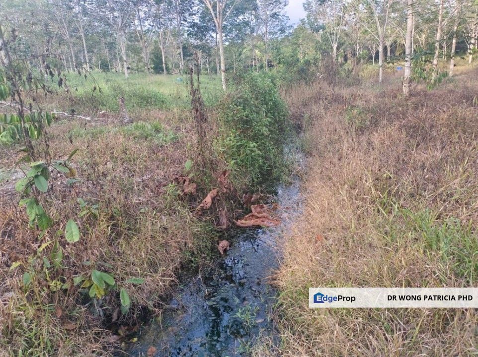 Very Cheap, Rubber & Durian Farm, 6.57 acres, Jln Kg. Chemomoi, 28310 Triang, Pahang, Pahang, Bentong
