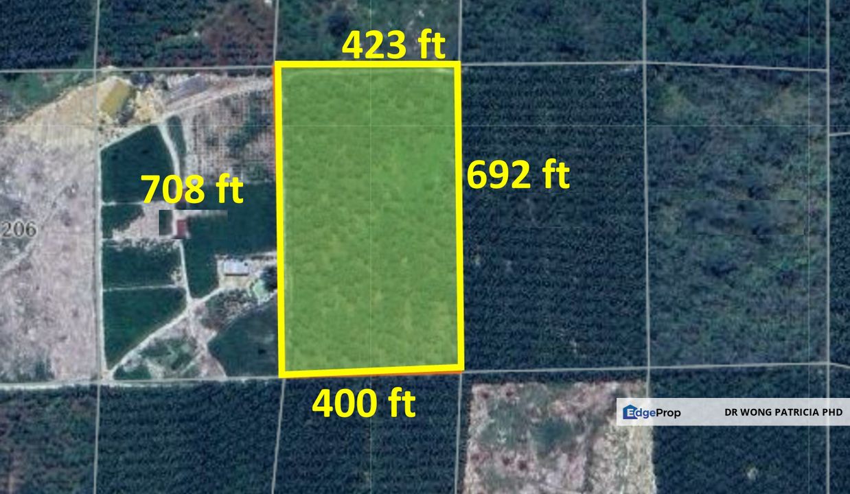 Very Cheap, Rubber & Durian Farm, 6.57 acres, Jln Kg. Chemomoi, 28310 Triang, Pahang, Pahang, Bentong