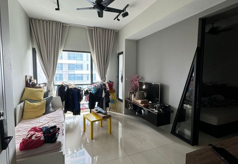 Cyperus @ Tropicana Gardens