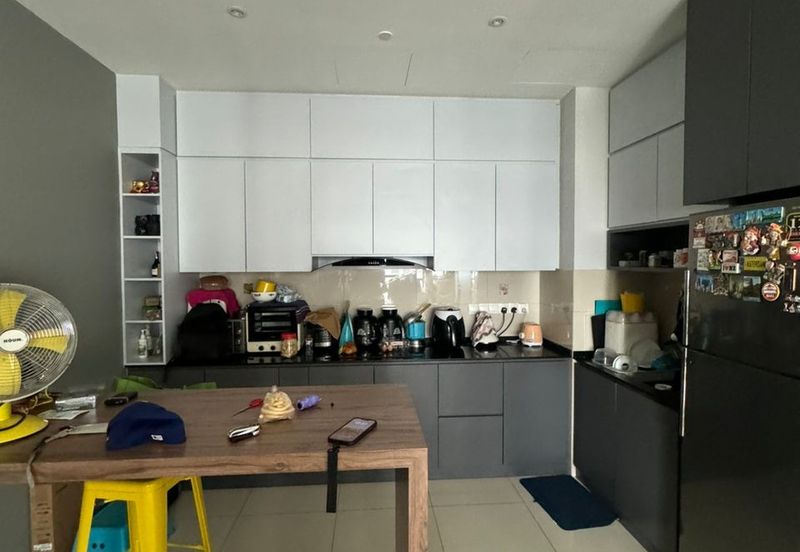 Cyperus @ Tropicana Gardens