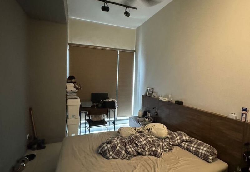 Cyperus @ Tropicana Gardens