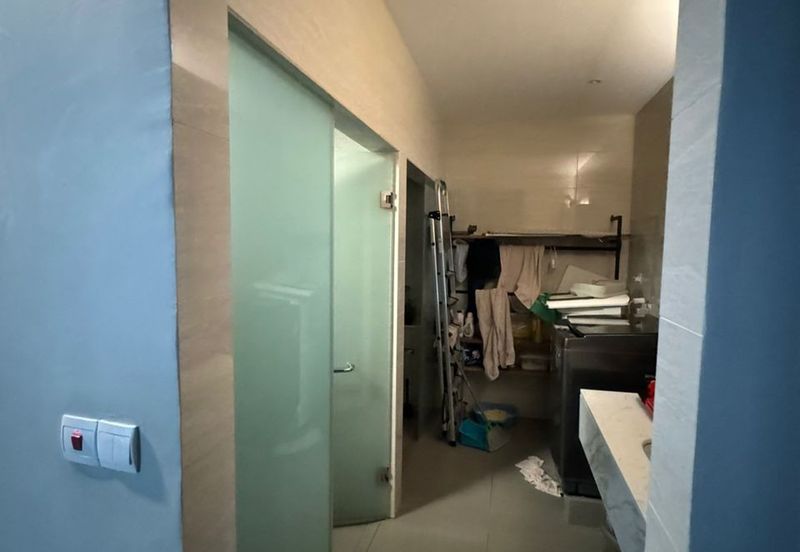 Cyperus @ Tropicana Gardens