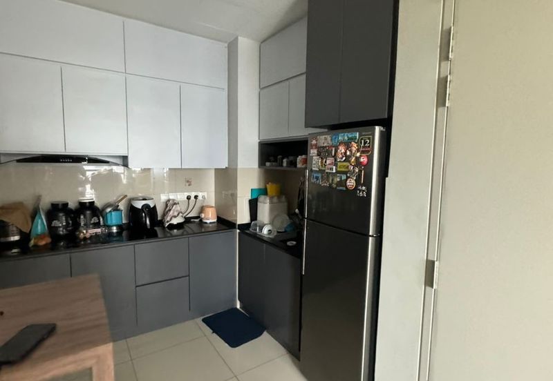 Cyperus @ Tropicana Gardens