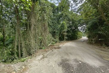 FOR SALE - TANAH PERTANIAN, MELAKA PINDAH, ALOR GAJAH, MELAKA