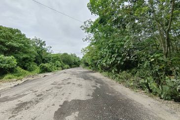 FOR SALE - TANAH PERTANIAN, MELAKA PINDAH, ALOR GAJAH, MELAKA