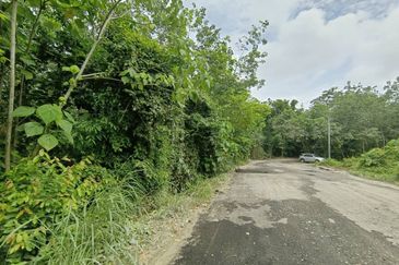 FOR SALE - TANAH PERTANIAN, MELAKA PINDAH, ALOR GAJAH, MELAKA