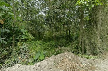 FOR SALE - TANAH PERTANIAN, MELAKA PINDAH, ALOR GAJAH, MELAKA