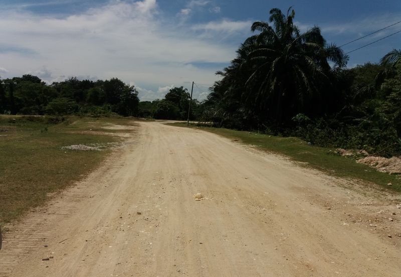 Tanah Pertanian Kampung Sungai Kembong Hulu