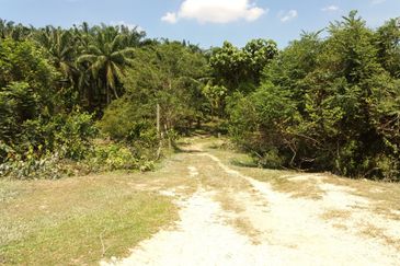 Tanah Pertanian Kampung Sungai Kembong Hulu