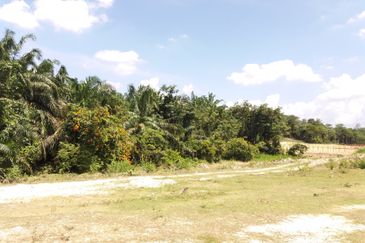 Tanah Pertanian Kampung Sungai Kembong Hulu
