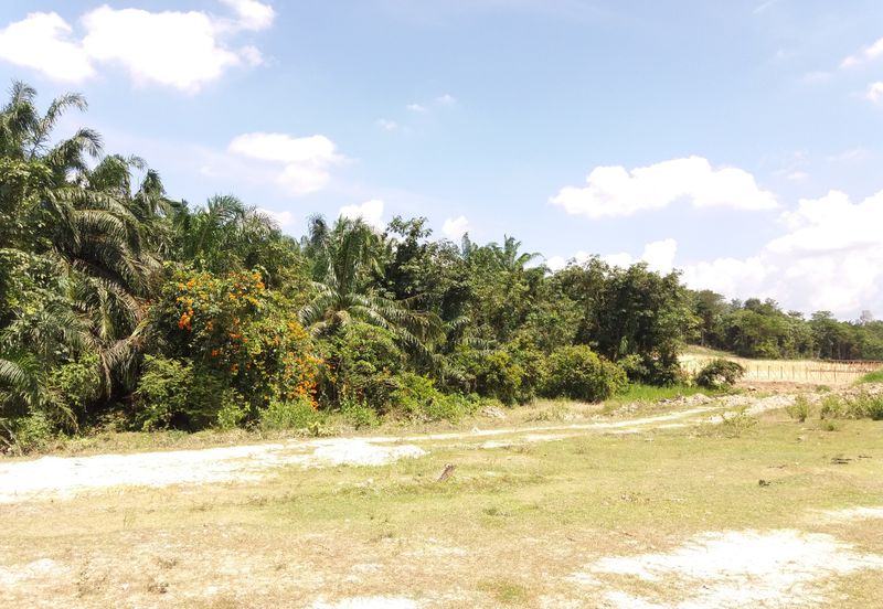 Tanah Pertanian Kampung Sungai Kembong Hulu