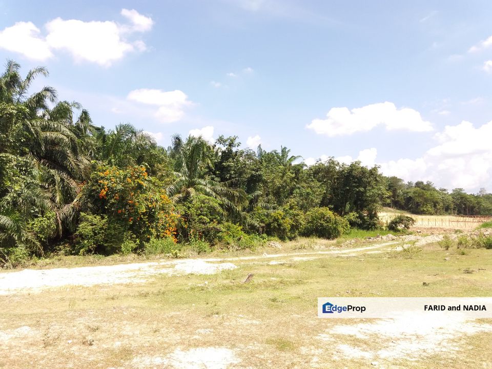 Tanah Pertanian Kampung Sungai Kembong Hulu, Selangor, Bangi