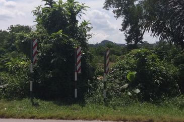 Tanah Pertanian Kampung Sungai Kembong Hulu