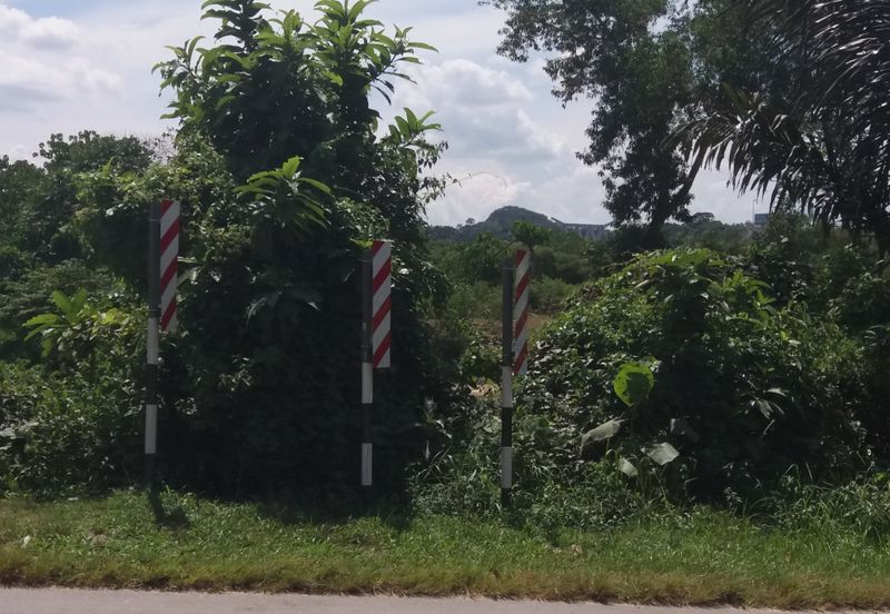 Tanah Pertanian Kampung Sungai Kembong Hulu