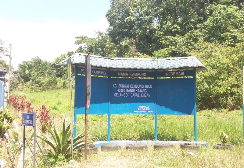 Tanah Pertanian Kampung Sungai Kembong Hulu