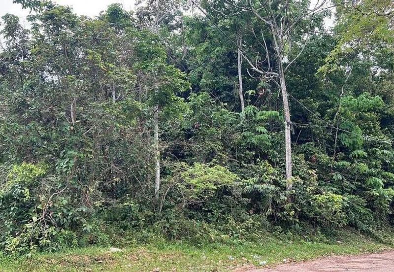 Tanah Pertanian Kampung Sungai Kembong Hulu