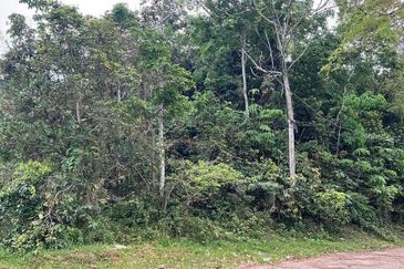 Tanah Pertanian Kampung Sungai Kembong Hulu