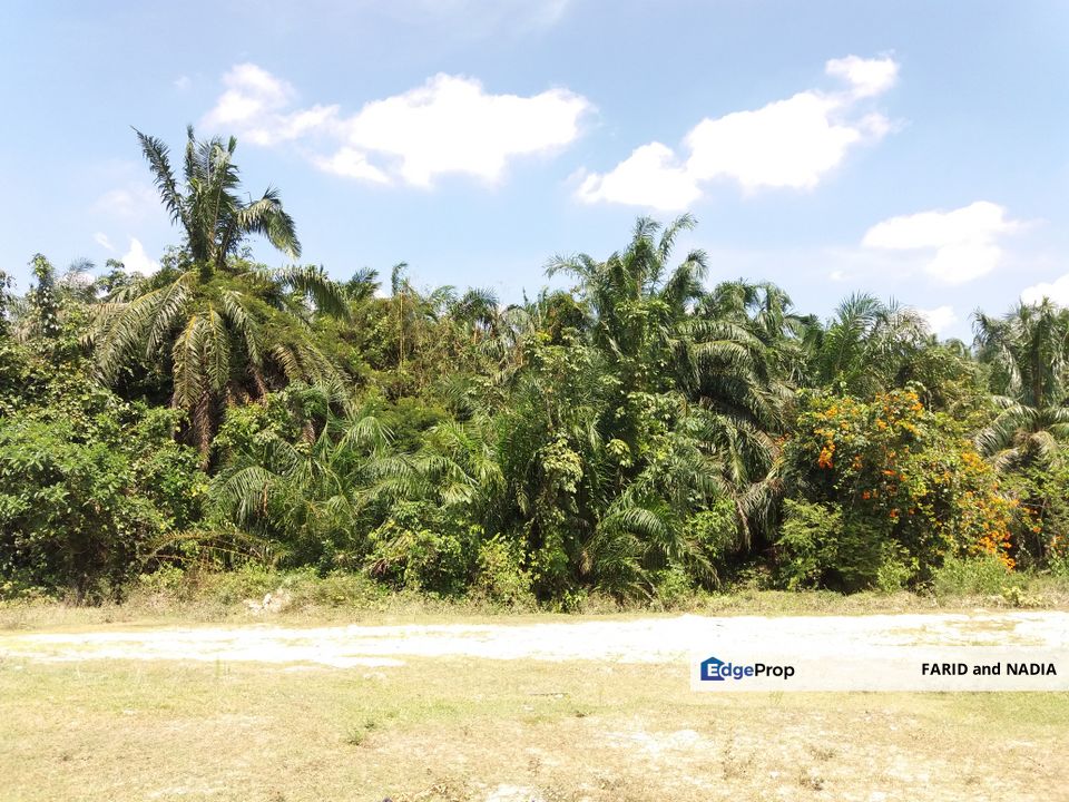 Tanah Pertanian Kampung Sungai Kembong Hulu, Selangor, Bangi