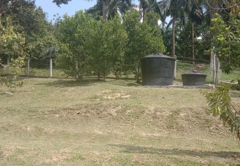 [TANAH TEPI JALAN UTAMA] Tanah Dusun, Sungai Timun, Linggi