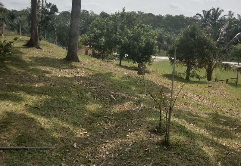 [TANAH TEPI JALAN UTAMA] Tanah Dusun, Sungai Timun, Linggi