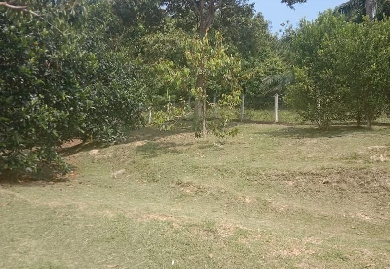 [TANAH TEPI JALAN UTAMA] Tanah Dusun, Sungai Timun, Linggi