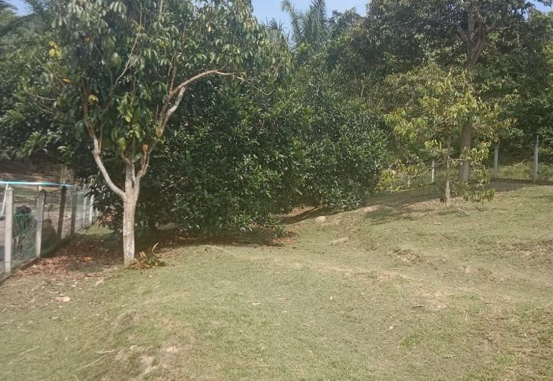 [TANAH TEPI JALAN UTAMA] Tanah Dusun, Sungai Timun, Linggi