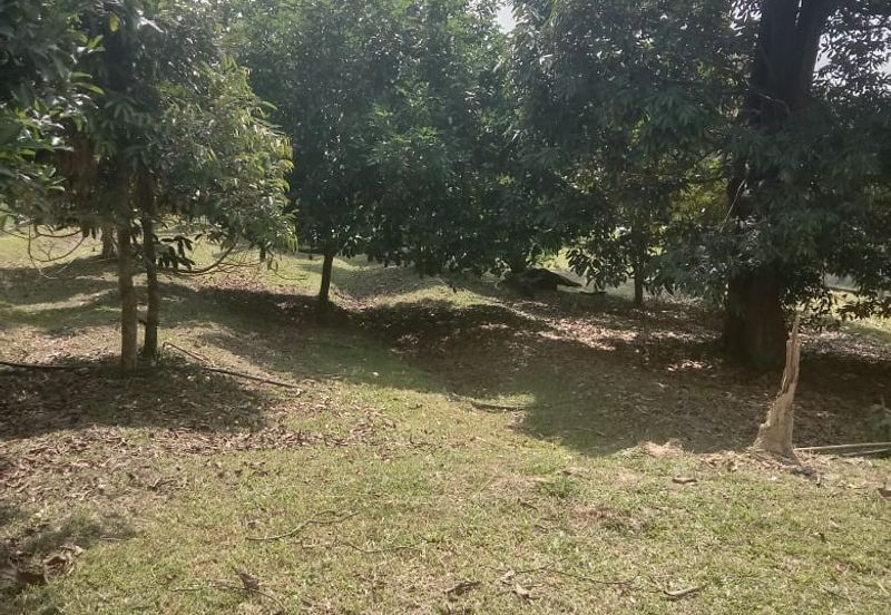 [TANAH TEPI JALAN UTAMA] Tanah Dusun, Sungai Timun, Linggi