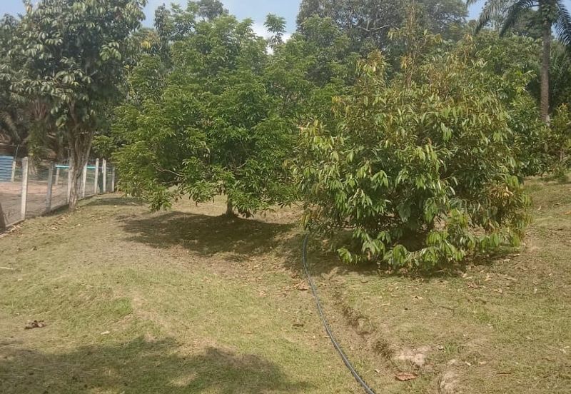 [TANAH TEPI JALAN UTAMA] Tanah Dusun, Sungai Timun, Linggi