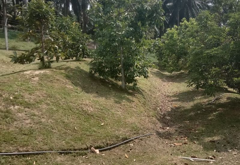 [TANAH TEPI JALAN UTAMA] Tanah Dusun, Sungai Timun, Linggi