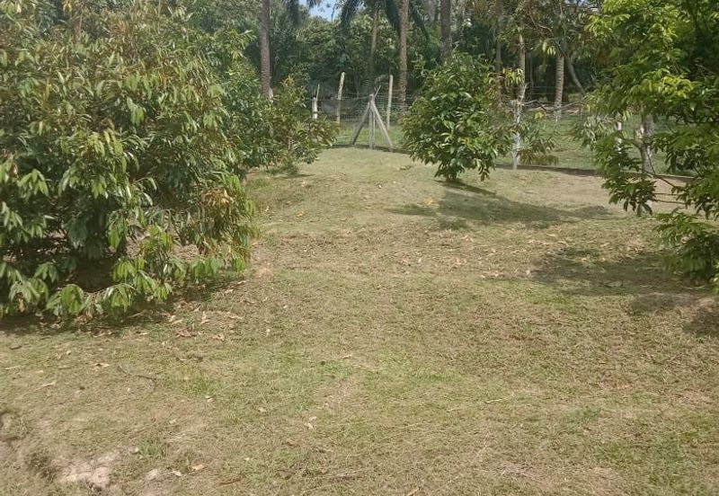 [TANAH TEPI JALAN UTAMA] Tanah Dusun, Sungai Timun, Linggi