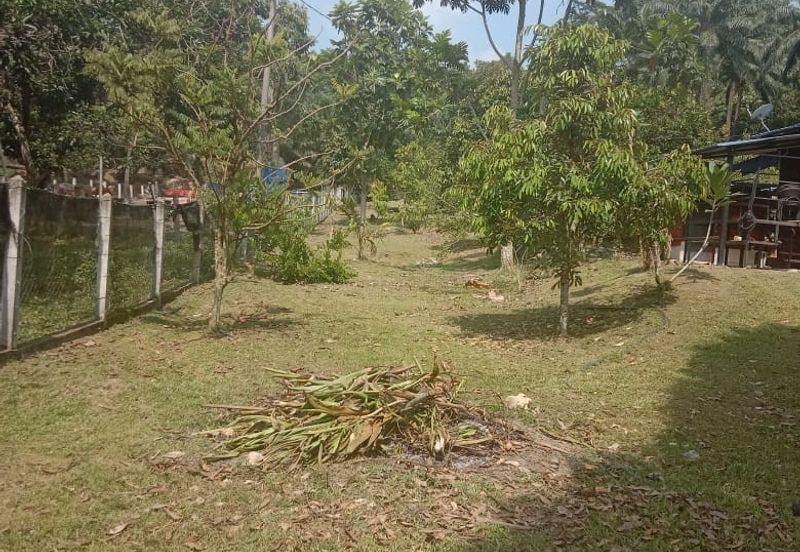 [TANAH TEPI JALAN UTAMA] Tanah Dusun, Sungai Timun, Linggi